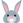 :rabbit_face: